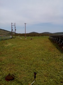 SPC_GARDENS_006