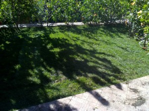 SPC_GARDENS_011