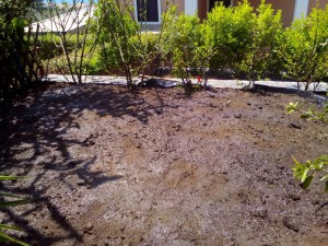SPC_GARDENS_013