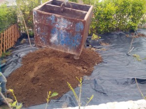 SPC_GARDENS_015