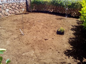 SPC_GARDENS_016