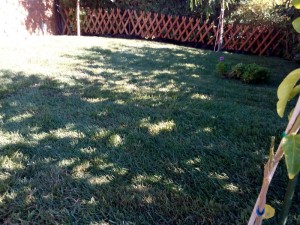 SPC_GARDENS_017