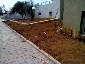SPC_GARDENS_021 