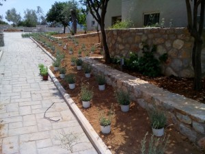 SPC_GARDENS_023 