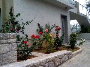 SPC_GARDENS_029 