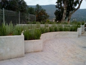 SPC_GARDENS_030 